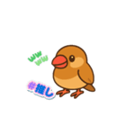 ぴーしゃ＆じぃじの文鳥すたんぷ♪（個別スタンプ：15）