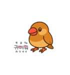ぴーしゃ＆じぃじの文鳥すたんぷ♪（個別スタンプ：16）