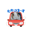 モカみたらし（個別スタンプ：2）