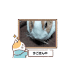 モカみたらし（個別スタンプ：3）