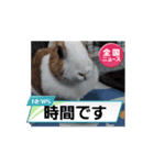 モカみたらし（個別スタンプ：5）