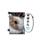 モカみたらし（個別スタンプ：6）