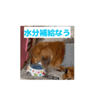 ぺーさんと日常(movie ver.)（個別スタンプ：5）