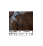 ぺーさんと日常(movie ver.)（個別スタンプ：7）