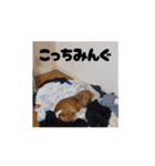 ぺーさんと日常(movie ver.)（個別スタンプ：8）