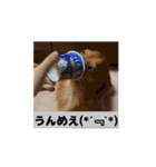 ぺーさんと日常(movie ver.)（個別スタンプ：9）