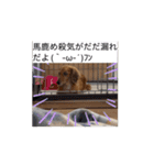 ぺーさんと日常(movie ver.)（個別スタンプ：10）