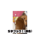 ぺーさんと日常(movie ver.)（個別スタンプ：13）