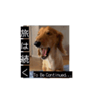 ぺーさんと日常(movie ver.)（個別スタンプ：16）
