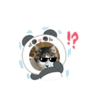 ねこのボンちゃん・あいさつまとめ（個別スタンプ：1）