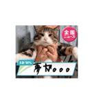 モックンとポポンタ（個別スタンプ：2）