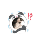 モックンとポポンタ（個別スタンプ：6）