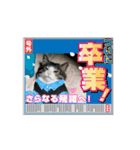 モックンとポポンタ（個別スタンプ：10）
