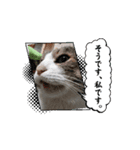 モックンとポポンタ（個別スタンプ：13）