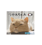 豆太郎と玄次郎の生活❤︎（個別スタンプ：7）