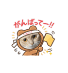 豆太郎と玄次郎の生活❤︎（個別スタンプ：11）