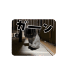 豆太郎と玄次郎の生活❤︎（個別スタンプ：14）