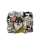 チワワーズのスタンプ（個別スタンプ：6）
