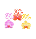 花で挨拶しよう（個別スタンプ：8）