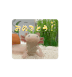 ウパうめ日記 よく使う編part2（個別スタンプ：1）