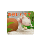 ウパうめ日記 よく使う編part2（個別スタンプ：3）