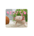 ウパうめ日記 よく使う編part2（個別スタンプ：9）