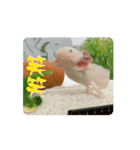 ウパうめ日記 よく使う編part2（個別スタンプ：14）