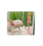 ウパうめ日記 よく使う編part2（個別スタンプ：16）