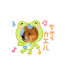 動く！レンくん3（タヌキキツネイッヌ）（個別スタンプ：8）