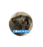 動くねこ 日常スタンプ おもしろ かわいい（個別スタンプ：11）
