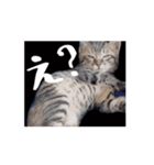 くぅちゃんの動くスタンプ（個別スタンプ：5）