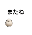 動く(•ө•)シマエナガ（個別スタンプ：6）