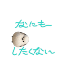動く(•ө•)シマエナガ（個別スタンプ：9）
