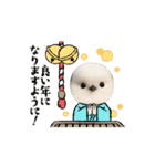 動く(•ө•)シマエナガ（個別スタンプ：16）