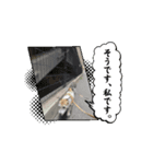 ハチワレハチコの動くやつ（個別スタンプ：2）