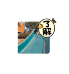 ハチワレハチコの動くやつ（個別スタンプ：4）