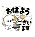 シーズー犬 2025 「大き目文字・吹き出し」（個別スタンプ：1）