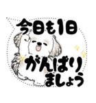 シーズー犬 2025 「大き目文字・吹き出し」（個別スタンプ：5）