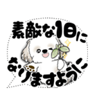 シーズー犬 2025 「大き目文字・吹き出し」（個別スタンプ：6）