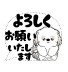 シーズー犬 2025 「大き目文字・吹き出し」（個別スタンプ：11）
