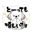 シーズー犬 2025 「大き目文字・吹き出し」（個別スタンプ：12）