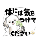 シーズー犬 2025 「大き目文字・吹き出し」（個別スタンプ：14）