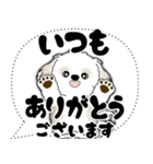 シーズー犬 2025 「大き目文字・吹き出し」（個別スタンプ：16）