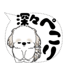 シーズー犬 2025 「大き目文字・吹き出し」（個別スタンプ：19）