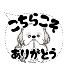 シーズー犬 2025 「大き目文字・吹き出し」（個別スタンプ：20）