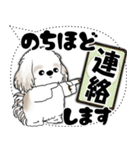 シーズー犬 2025 「大き目文字・吹き出し」（個別スタンプ：22）