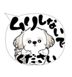 シーズー犬 2025 「大き目文字・吹き出し」（個別スタンプ：26）
