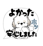 シーズー犬 2025 「大き目文字・吹き出し」（個別スタンプ：30）