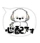 シーズー犬 2025 「大き目文字・吹き出し」（個別スタンプ：31）
