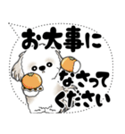 シーズー犬 2025 「大き目文字・吹き出し」（個別スタンプ：32）